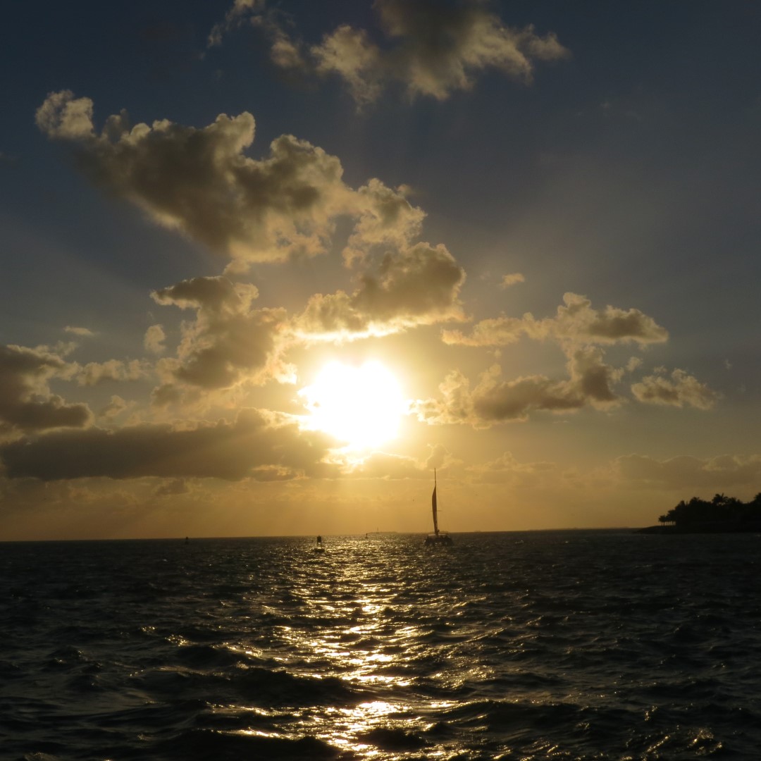 Sunset Party in Key West  38 of 142 (#5356)