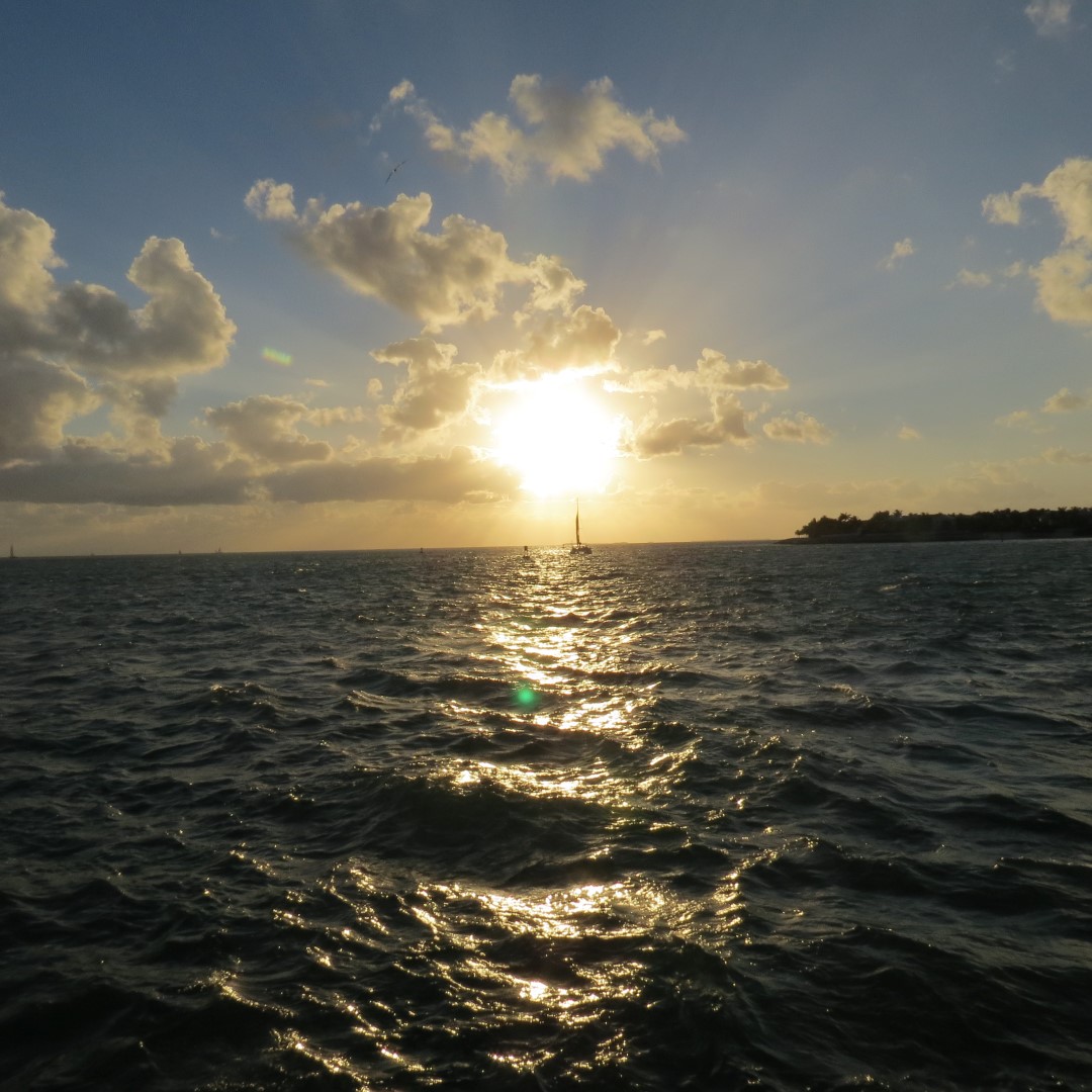 Sunset Party in Key West  39 of 142 (#5357)