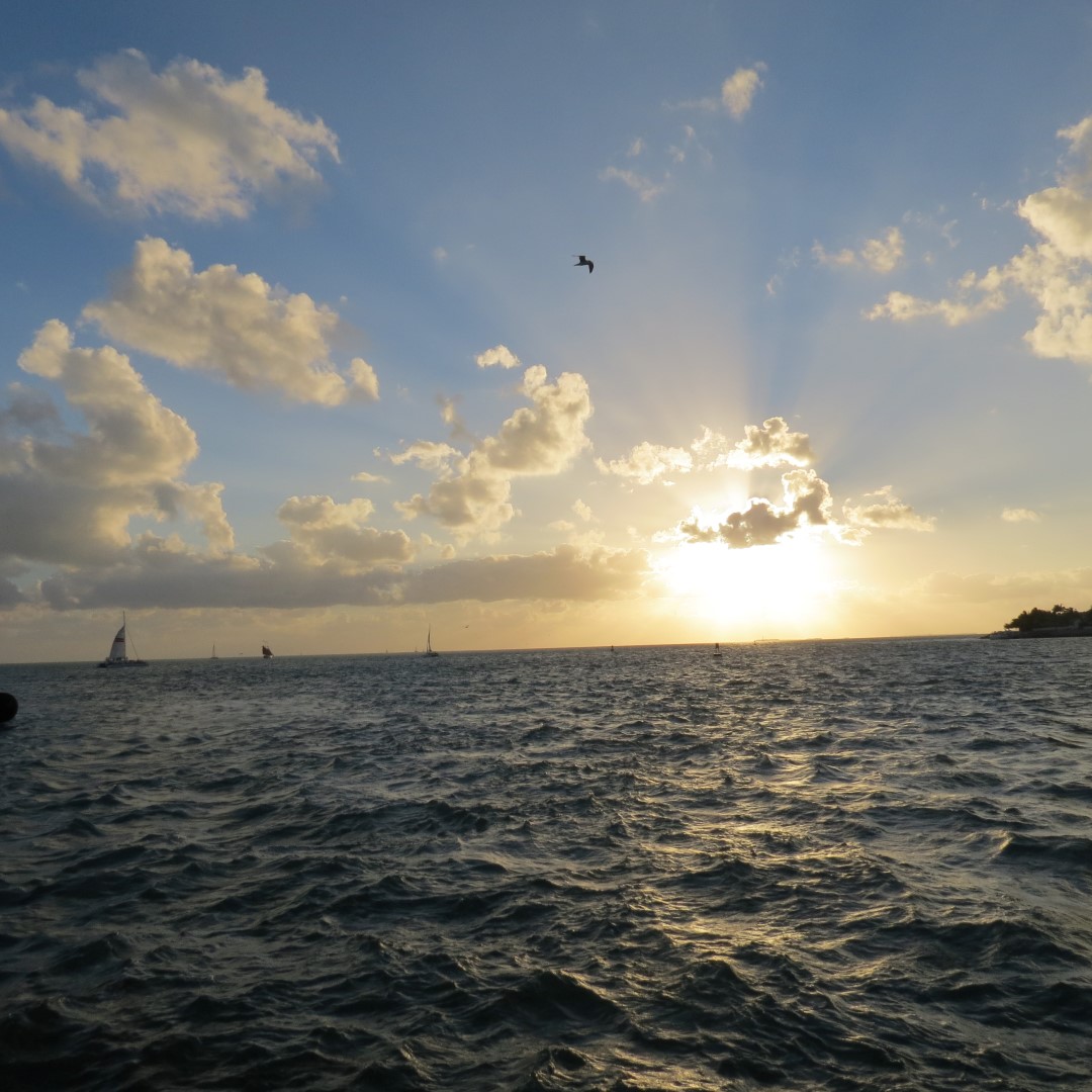 Sunset Party in Key West  40 of 142 (#5358)