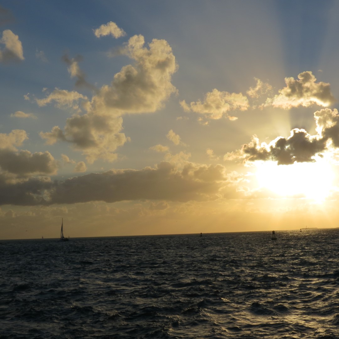 Sunset Party in Key West  41 of 142 (#5359)