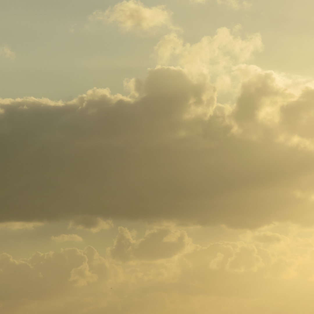 Sunset Party in Key West  42 of 142 (#5360)