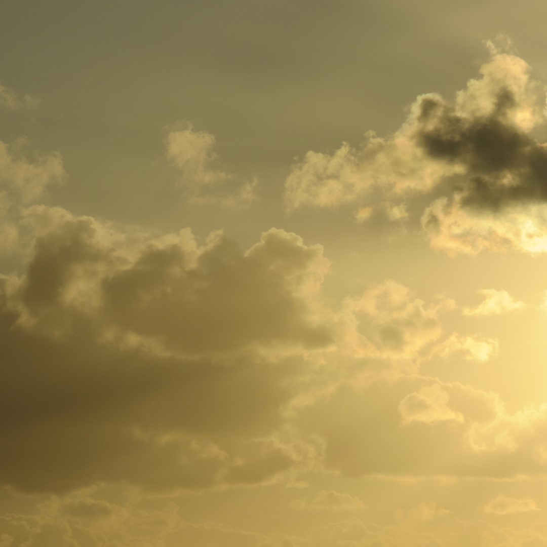 Sunset Party in Key West  43 of 142 (#5361)