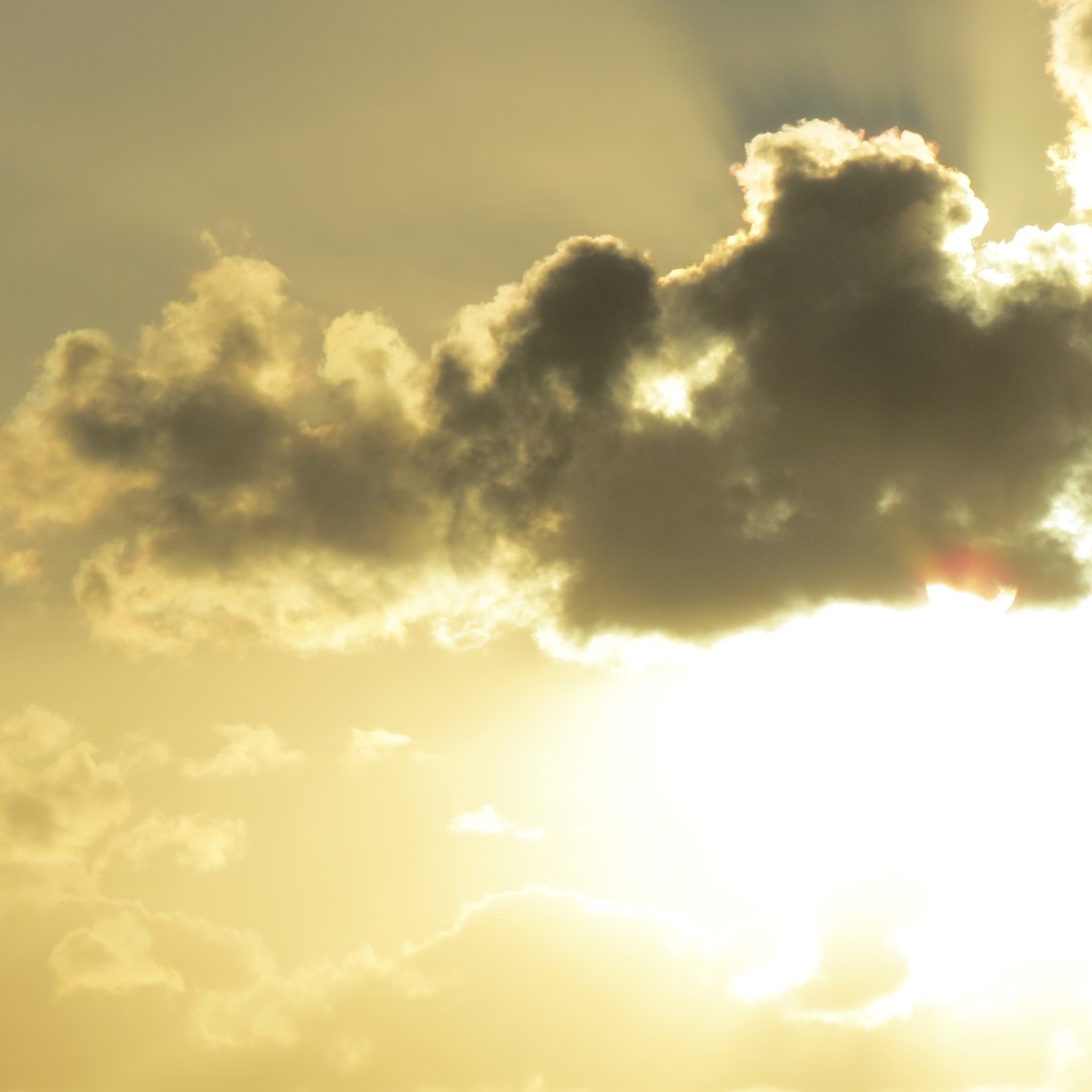 Sunset Party in Key West  44 of 142 (#5362)