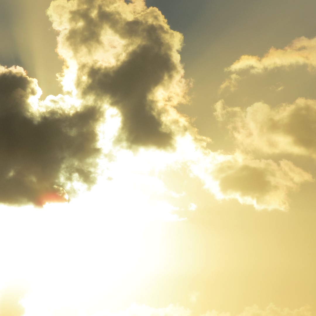 Sunset Party in Key West  45 of 142 (#5363)