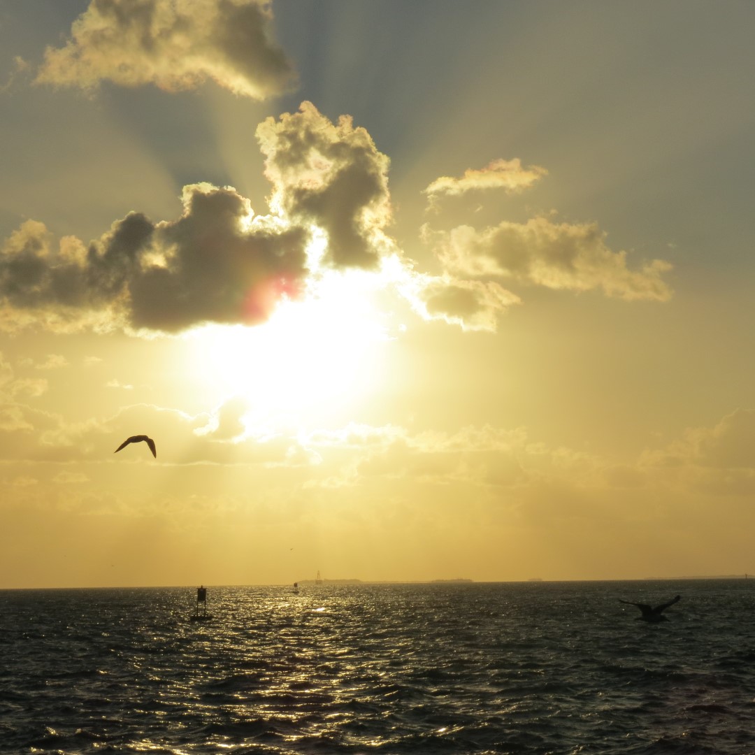 Sunset Party in Key West  46 of 142 (#5364)