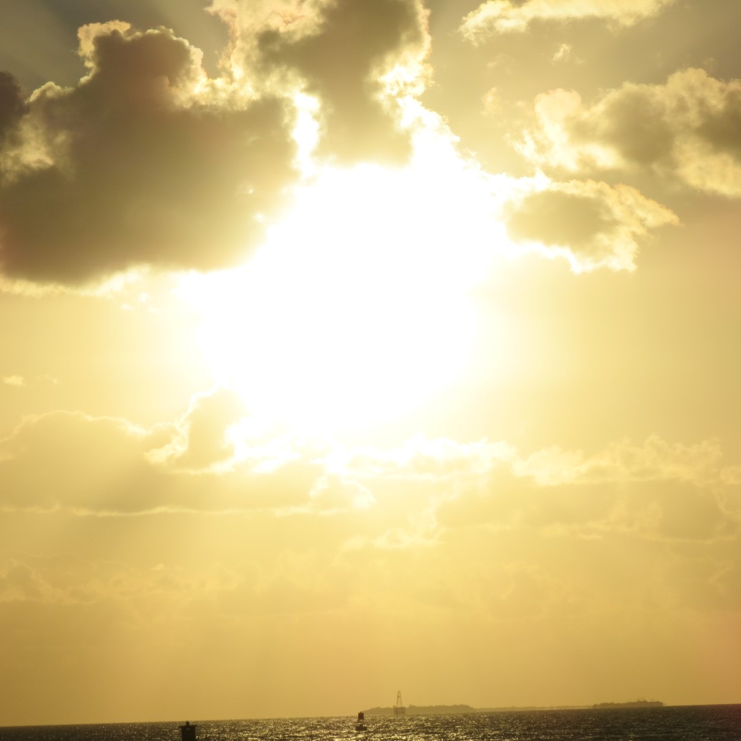 Sunset Party in Key West  48 of 142 (#5366)