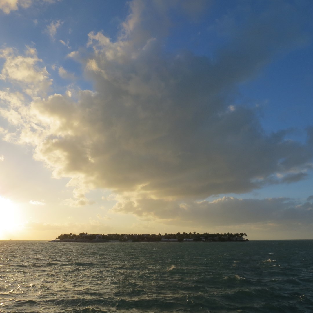 Sunset Party in Key West  49 of 142 (#5367)