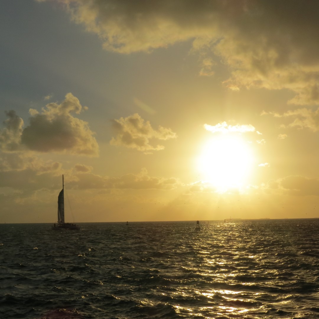 Sunset Party in Key West  52 of 142 (#5370)