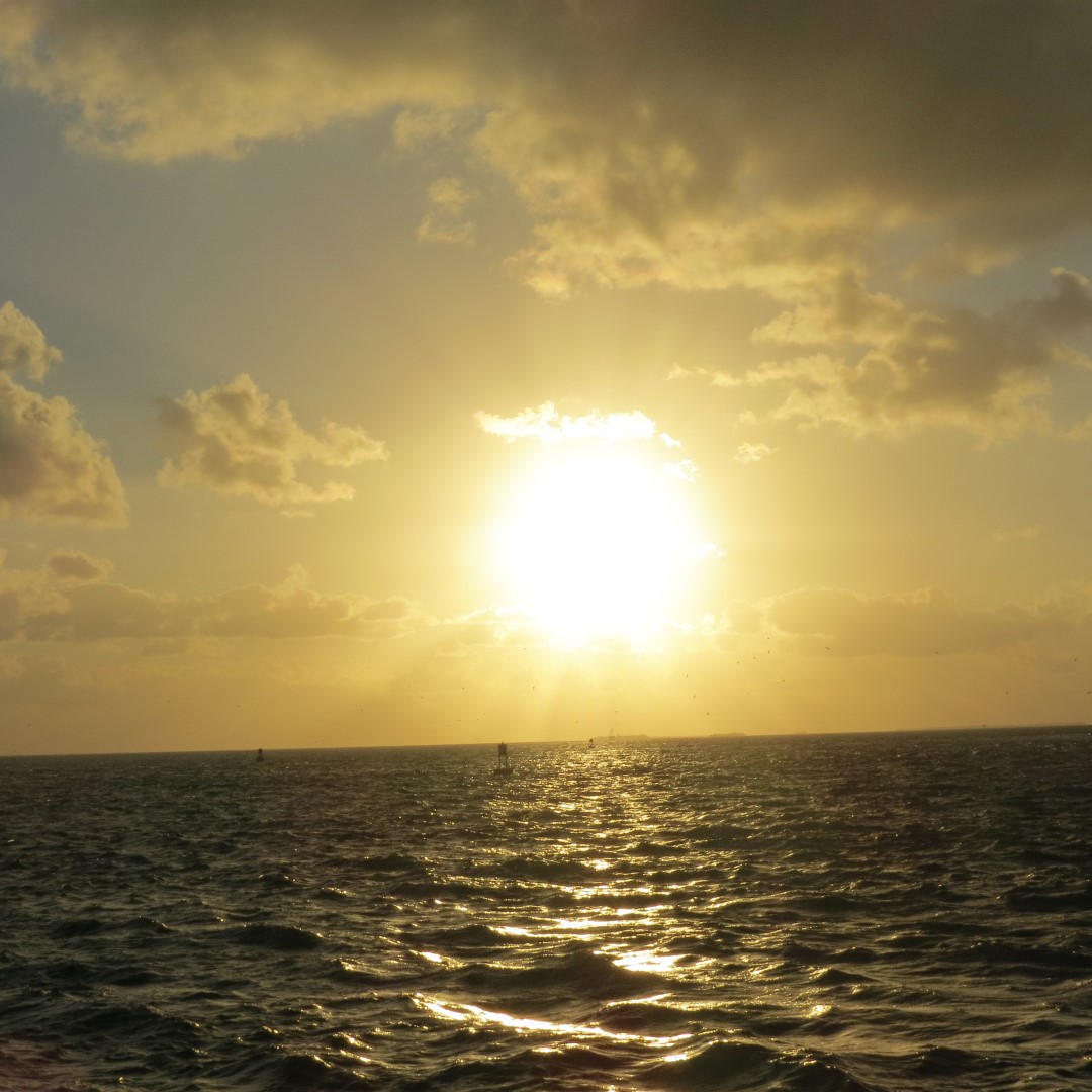 Sunset Party in Key West  53 of 142 (#5371)