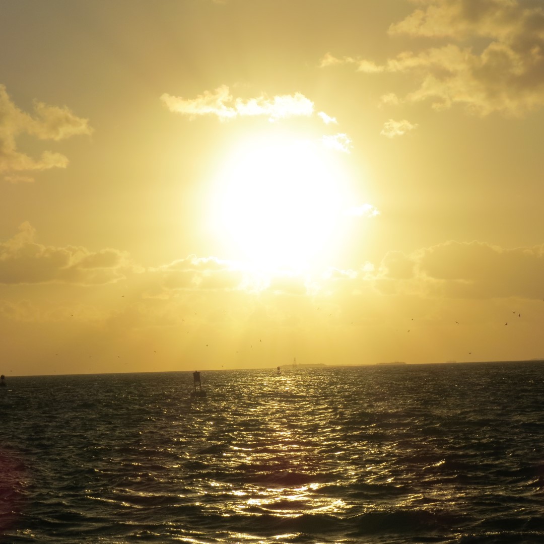 Sunset Party in Key West  54 of 142 (#5372)