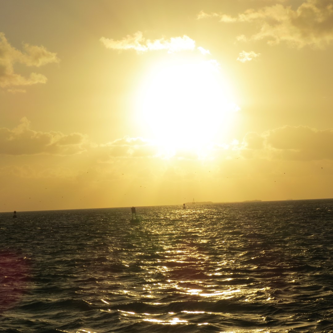 Sunset Party in Key West  55 of 142 (#5373)