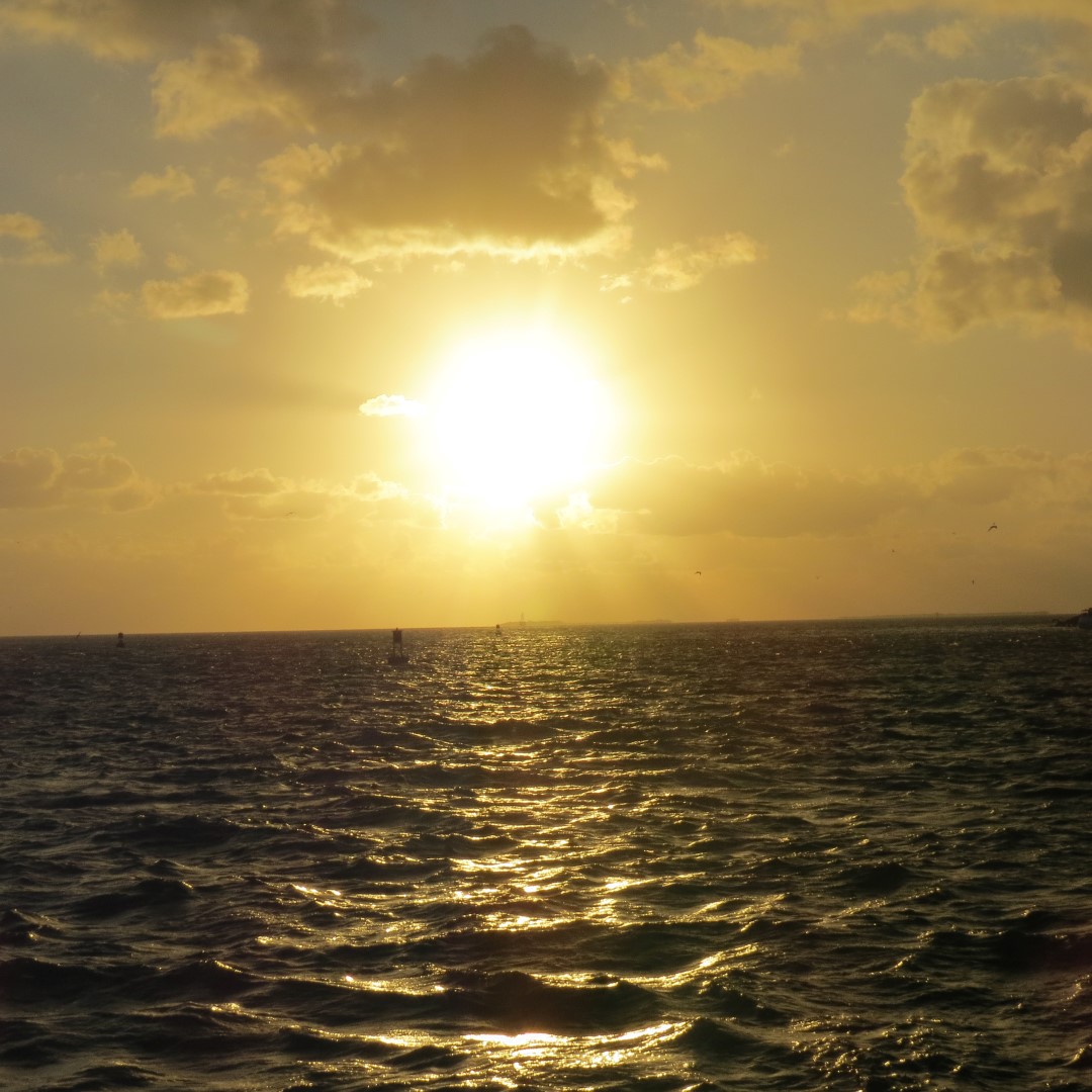 Sunset Party in Key West  57 of 142 (#5375)