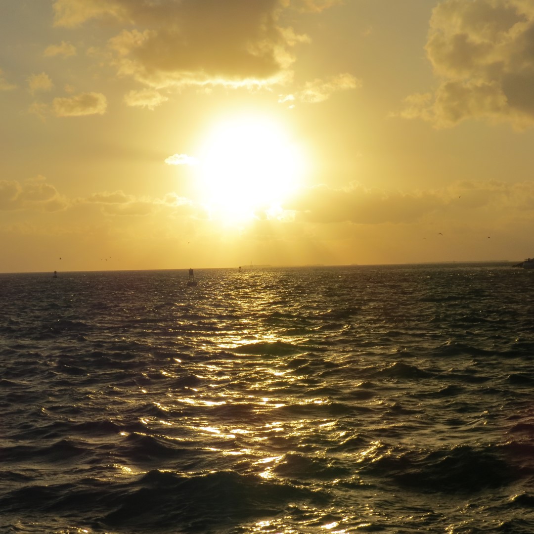 Sunset Party in Key West  58 of 142 (#5376)