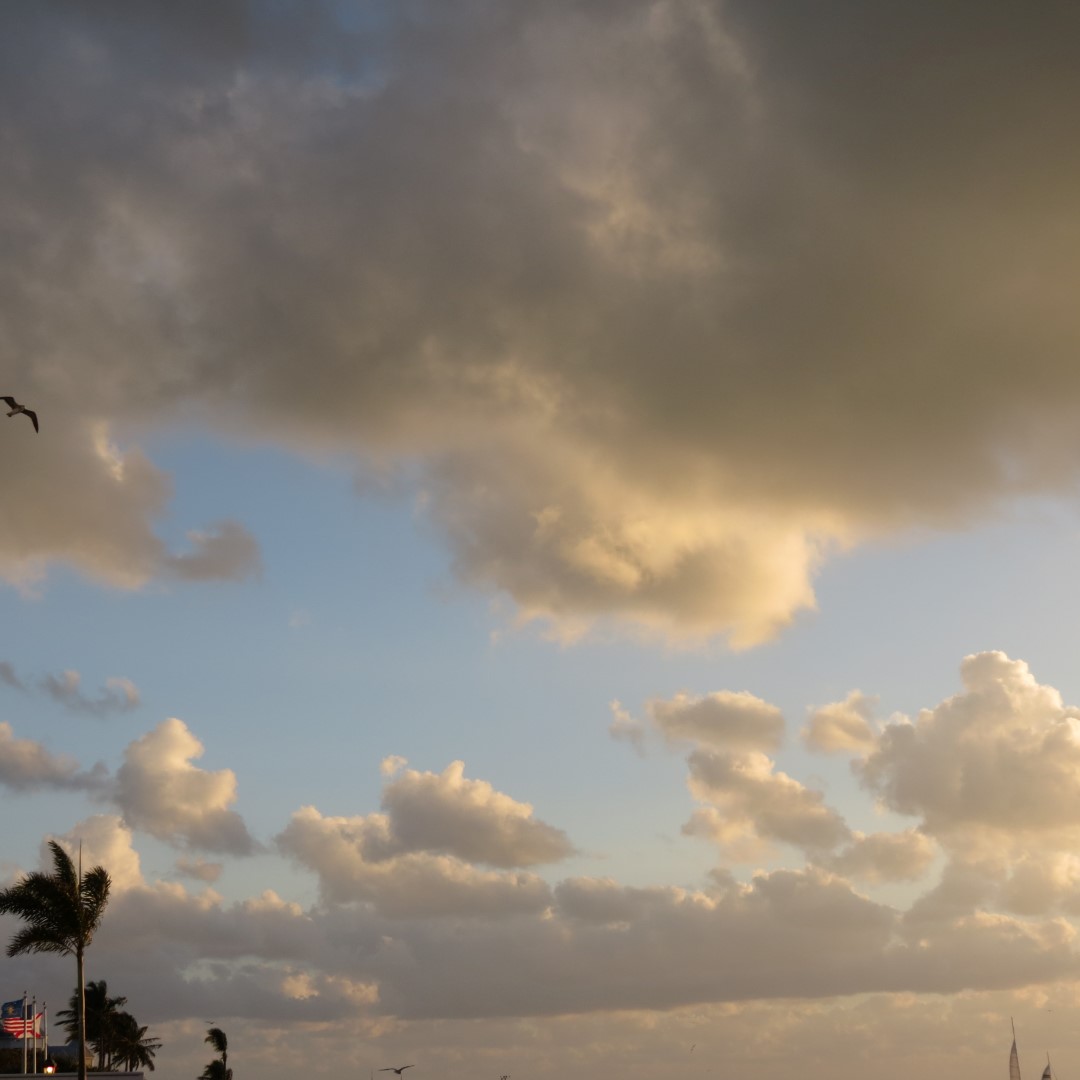 Sunset Party in Key West  62 of 142 (#5380)