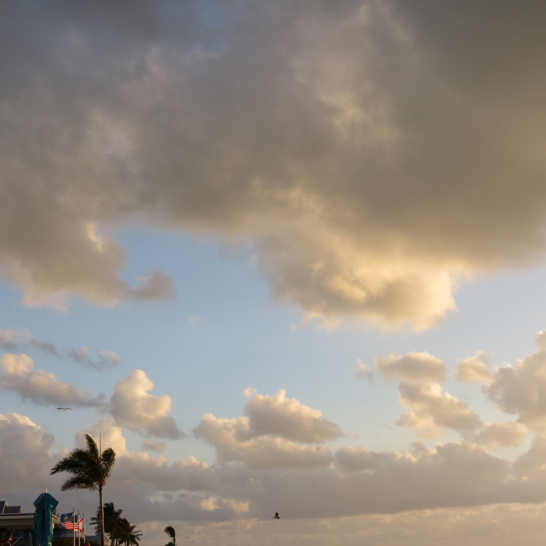 Sunset Party in Key West  63 of 142 (#5381)