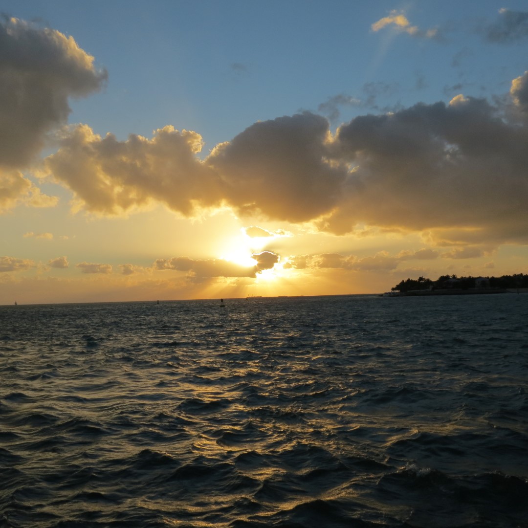 Sunset Party in Key West  66 of 142 (#5384)