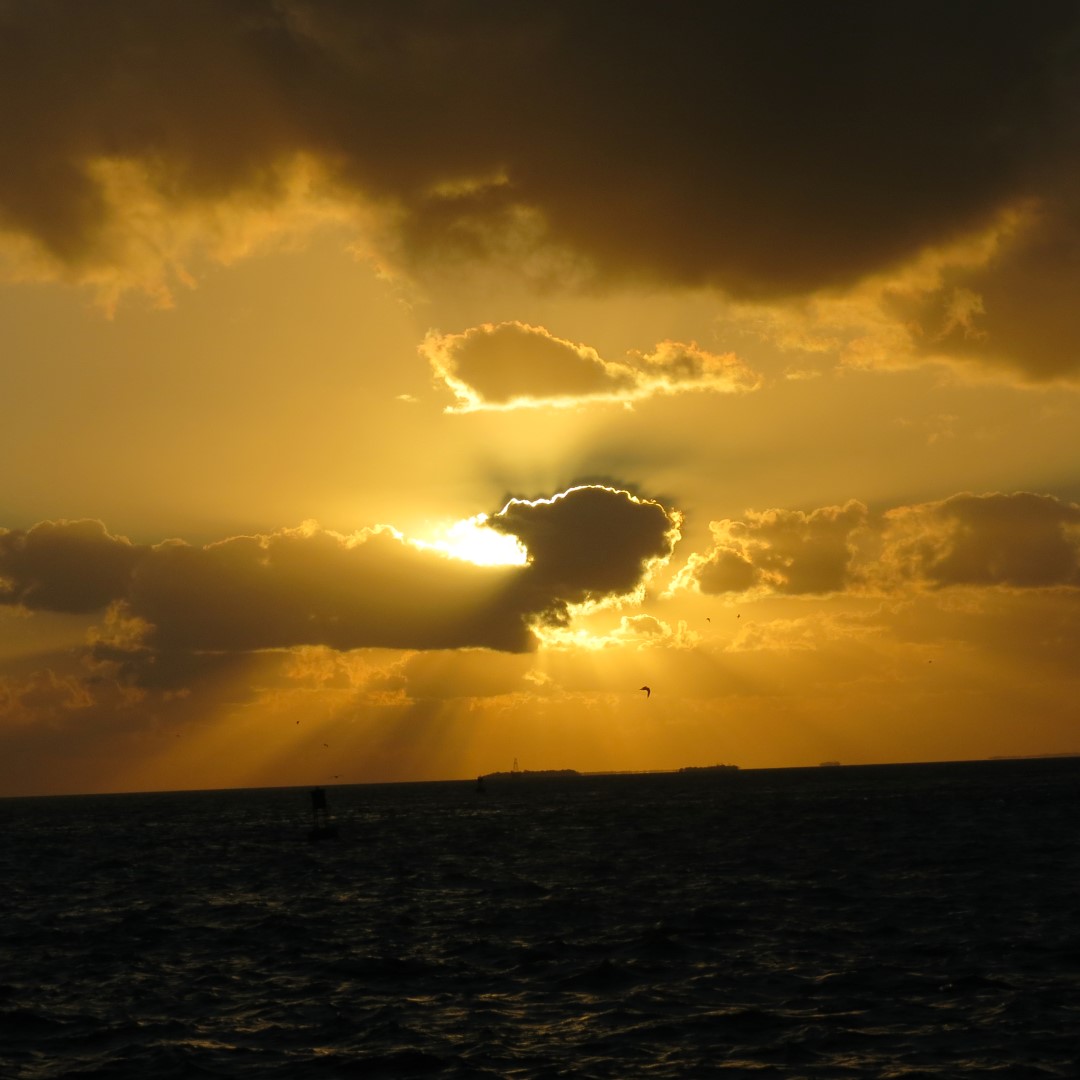 Sunset Party in Key West  67 of 142 (#5385)