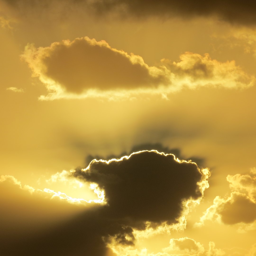 Sunset Party in Key West  68 of 142 (#5386)