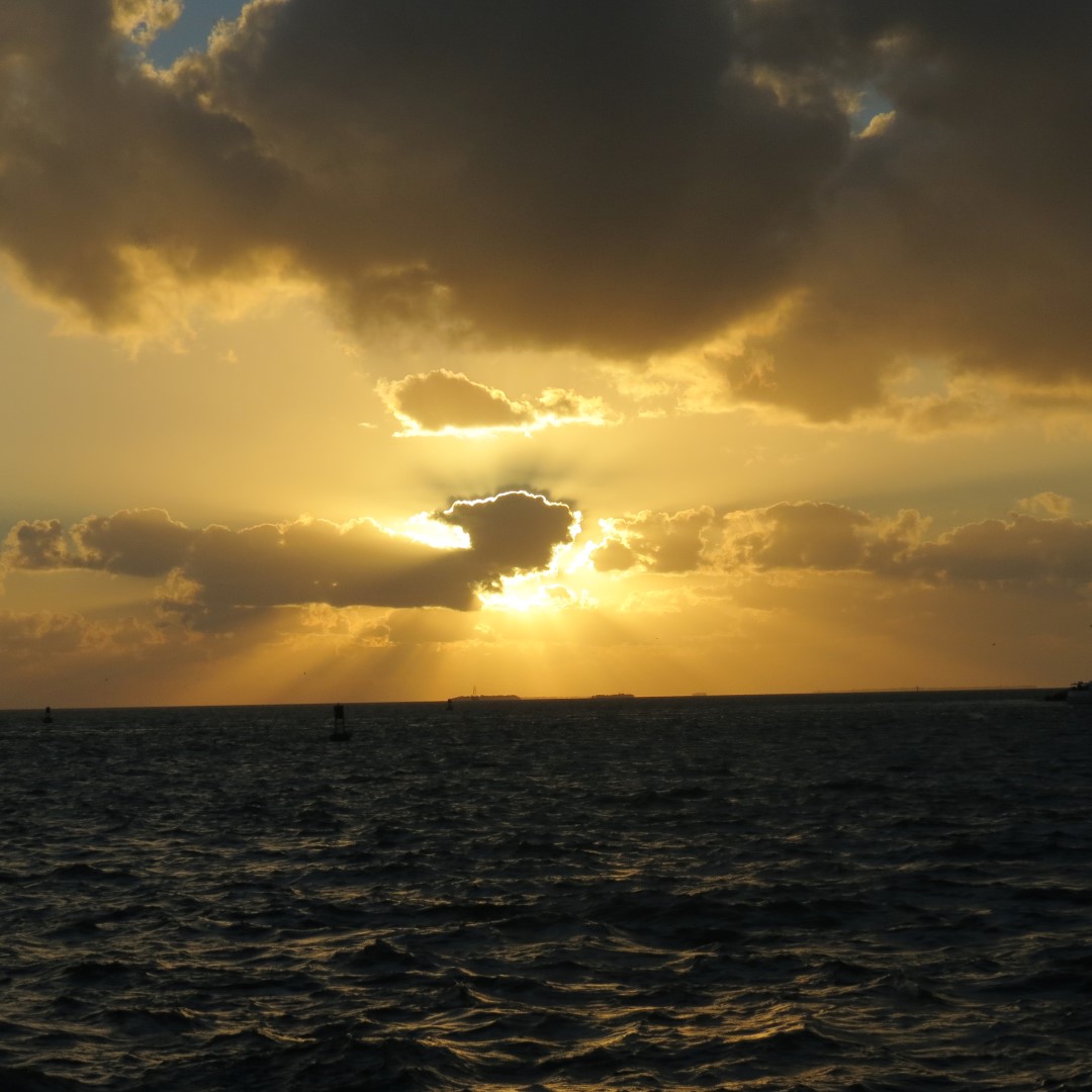 Sunset Party in Key West  69 of 142 (#5387)