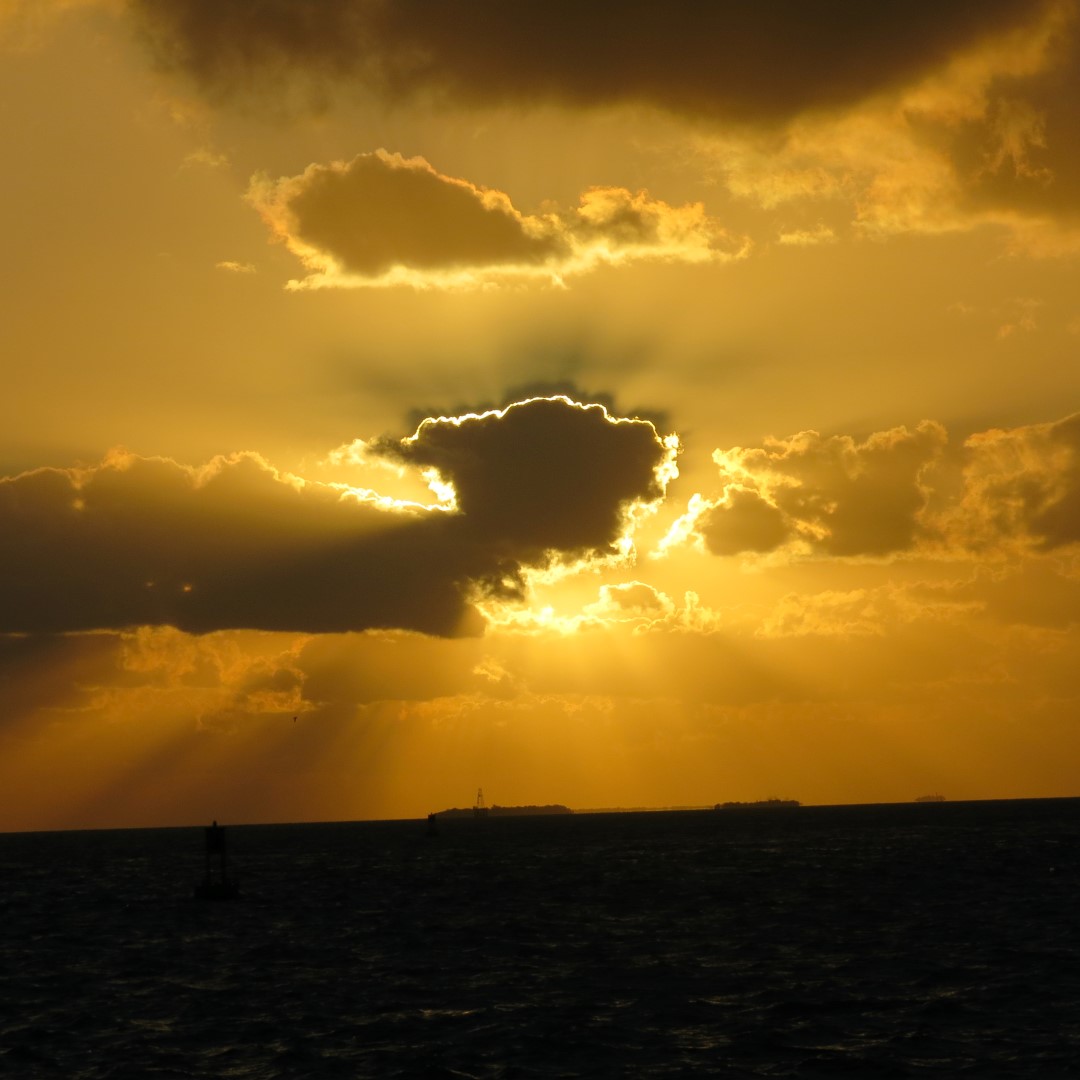 Sunset Party in Key West  70 of 142 (#5388)