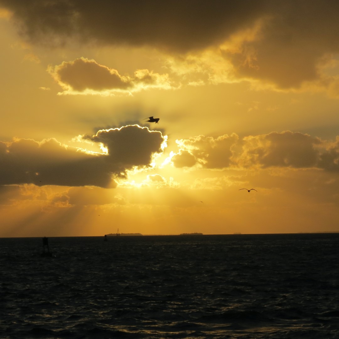 Sunset Party in Key West  71 of 142 (#5389)