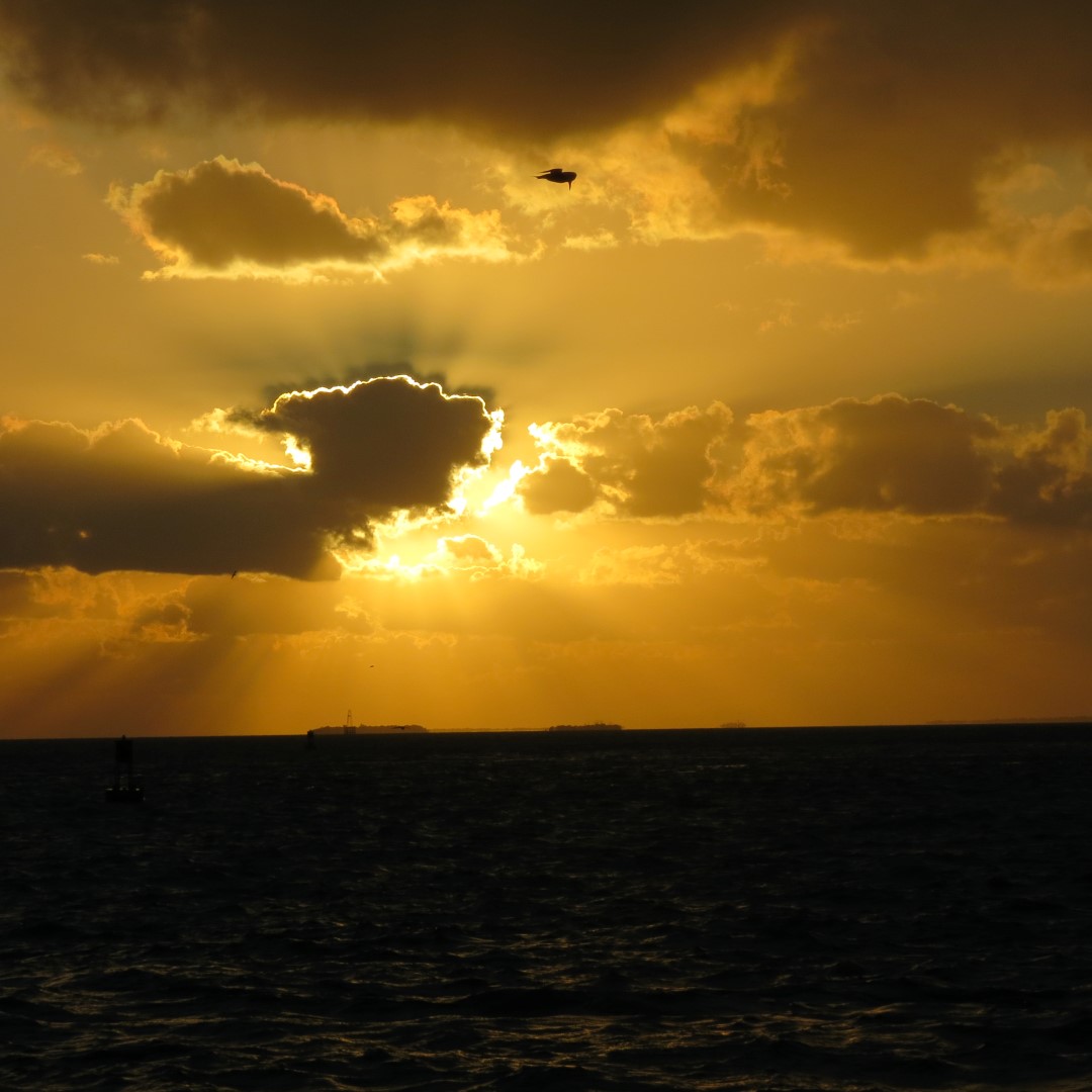 Sunset Party in Key West  72 of 142 (#5390)
