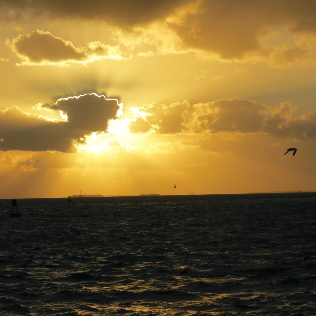 Sunset Party in Key West  73 of 142 (#5391)
