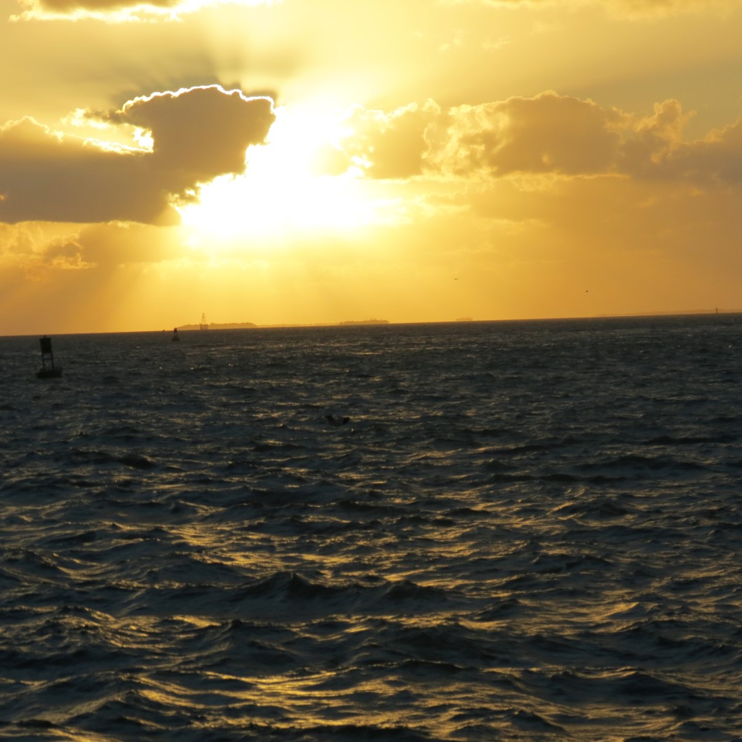 Sunset Party in Key West  74 of 142 (#5392)