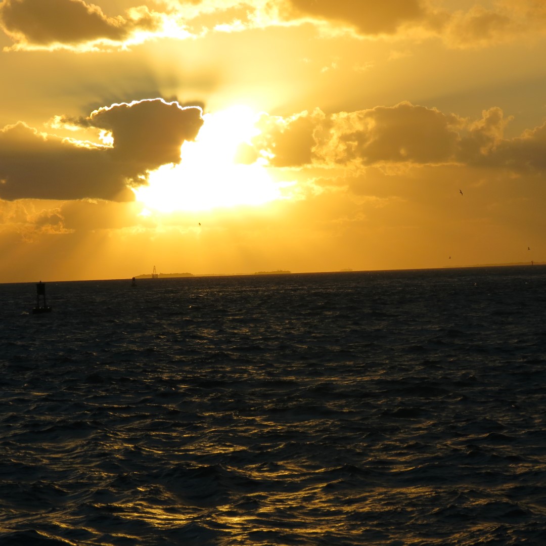 Sunset Party in Key West  75 of 142 (#5393)