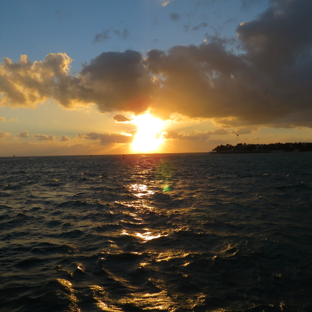 Sunset Party in Key West  76 of 142 (#5394)