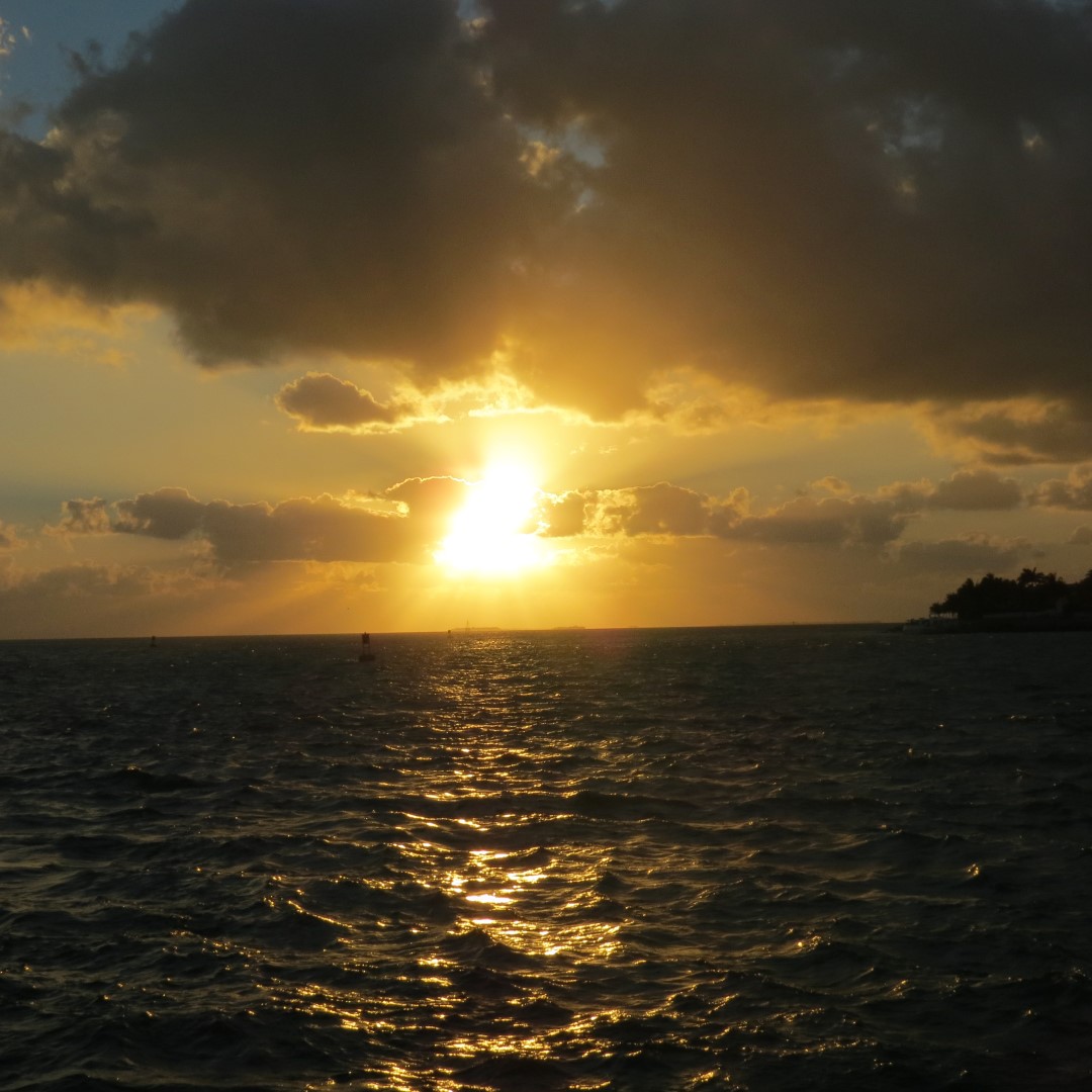 Sunset Party in Key West  77 of 142 (#5395)