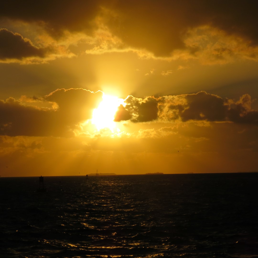 Sunset Party in Key West  78 of 142 (#5396)