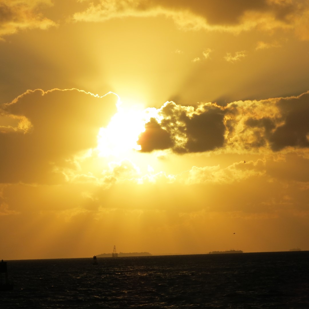 Sunset Party in Key West  79 of 142 (#5397)