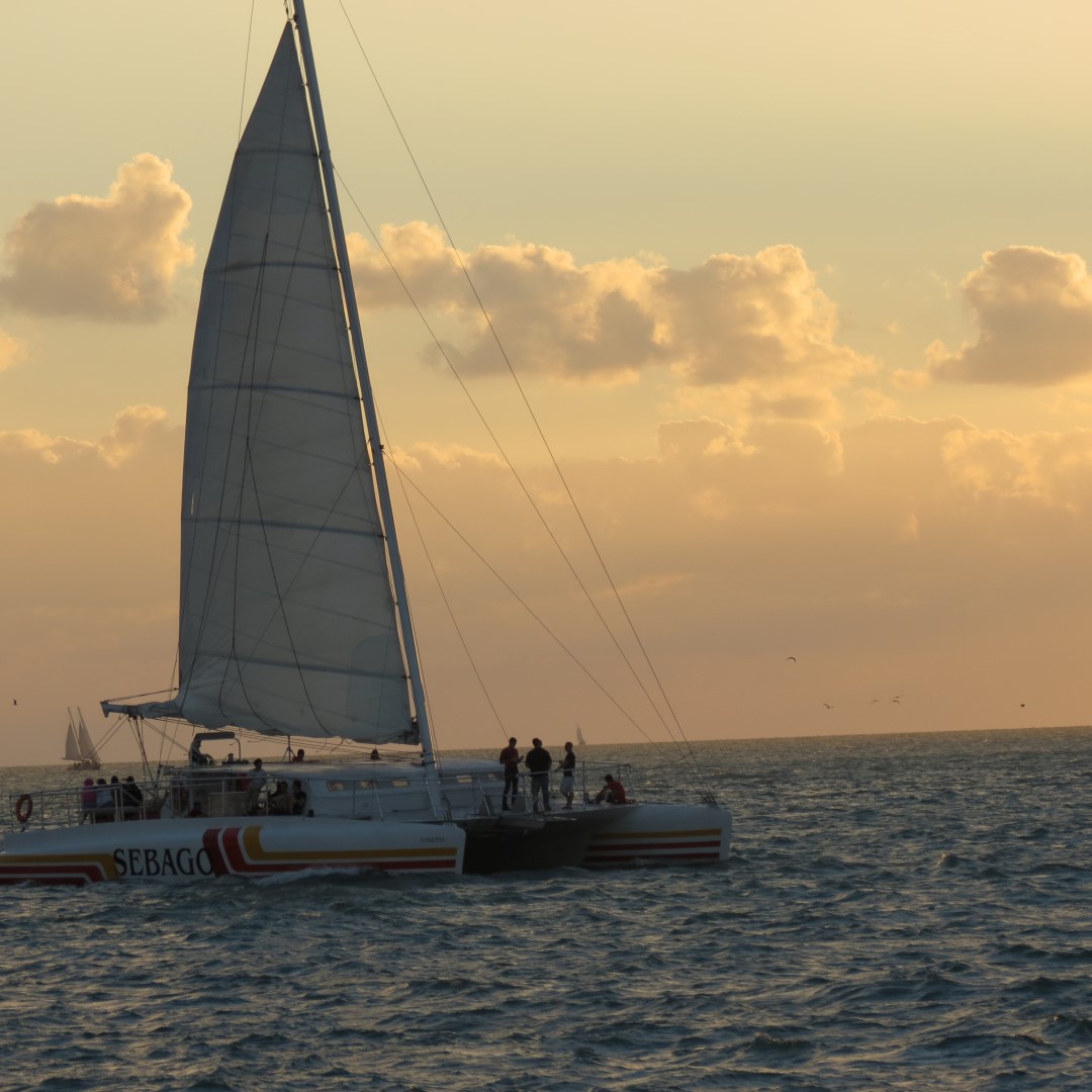 Sunset Party in Key West  80 of 142 (#5398)