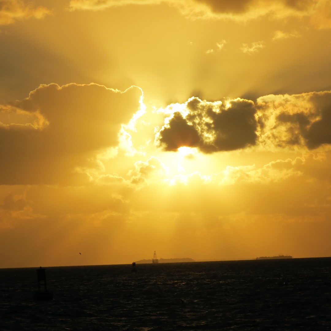 Sunset Party in Key West  81 of 142 (#5399)