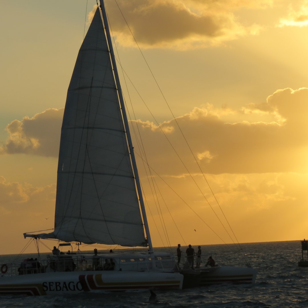 Sunset Party in Key West  82 of 142 (#5400)