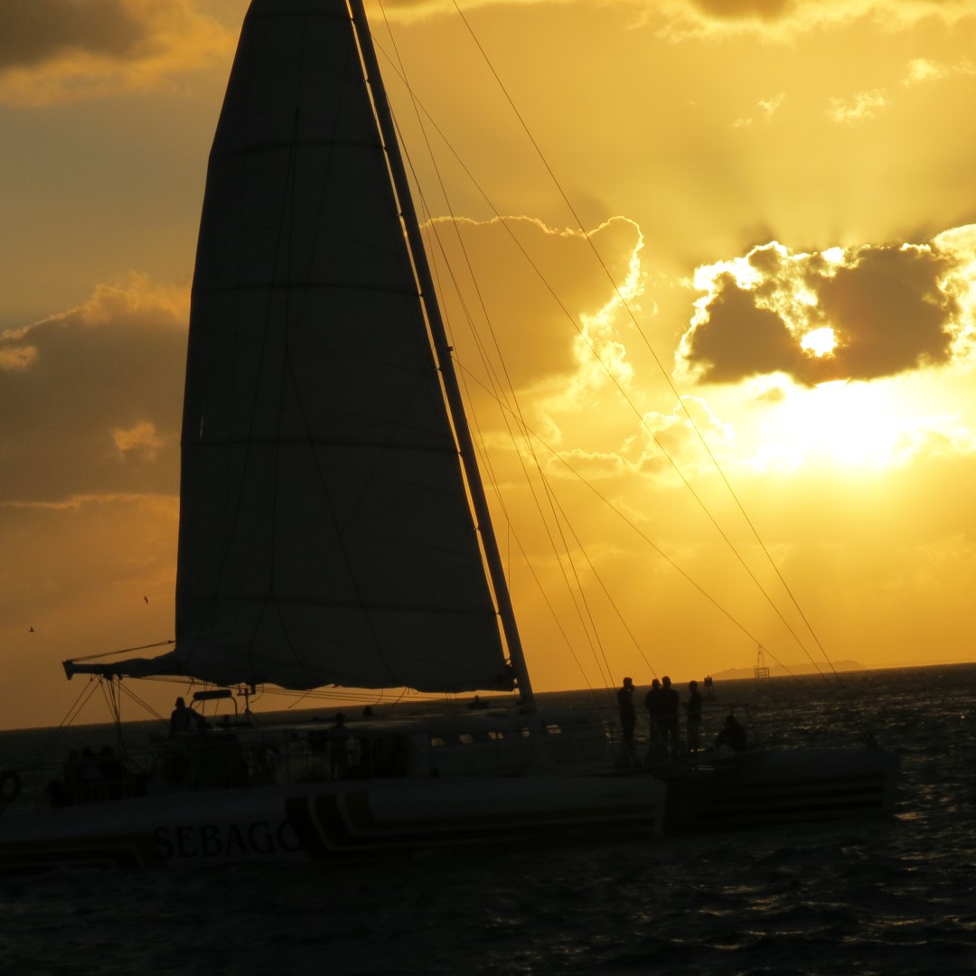 Sunset Party in Key West  83 of 142 (#5401)