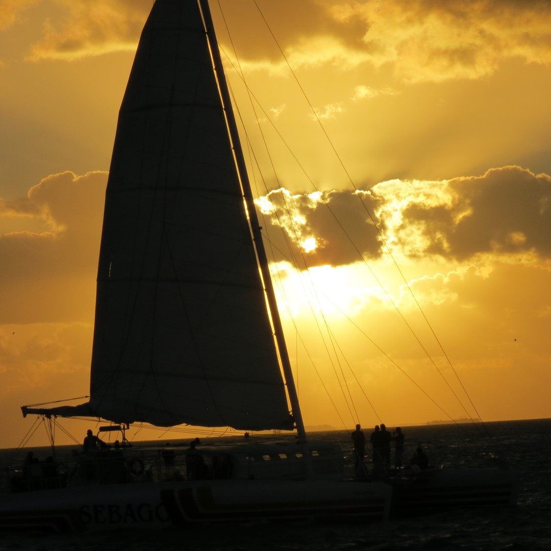 Sunset Party in Key West  84 of 142 (#5402)