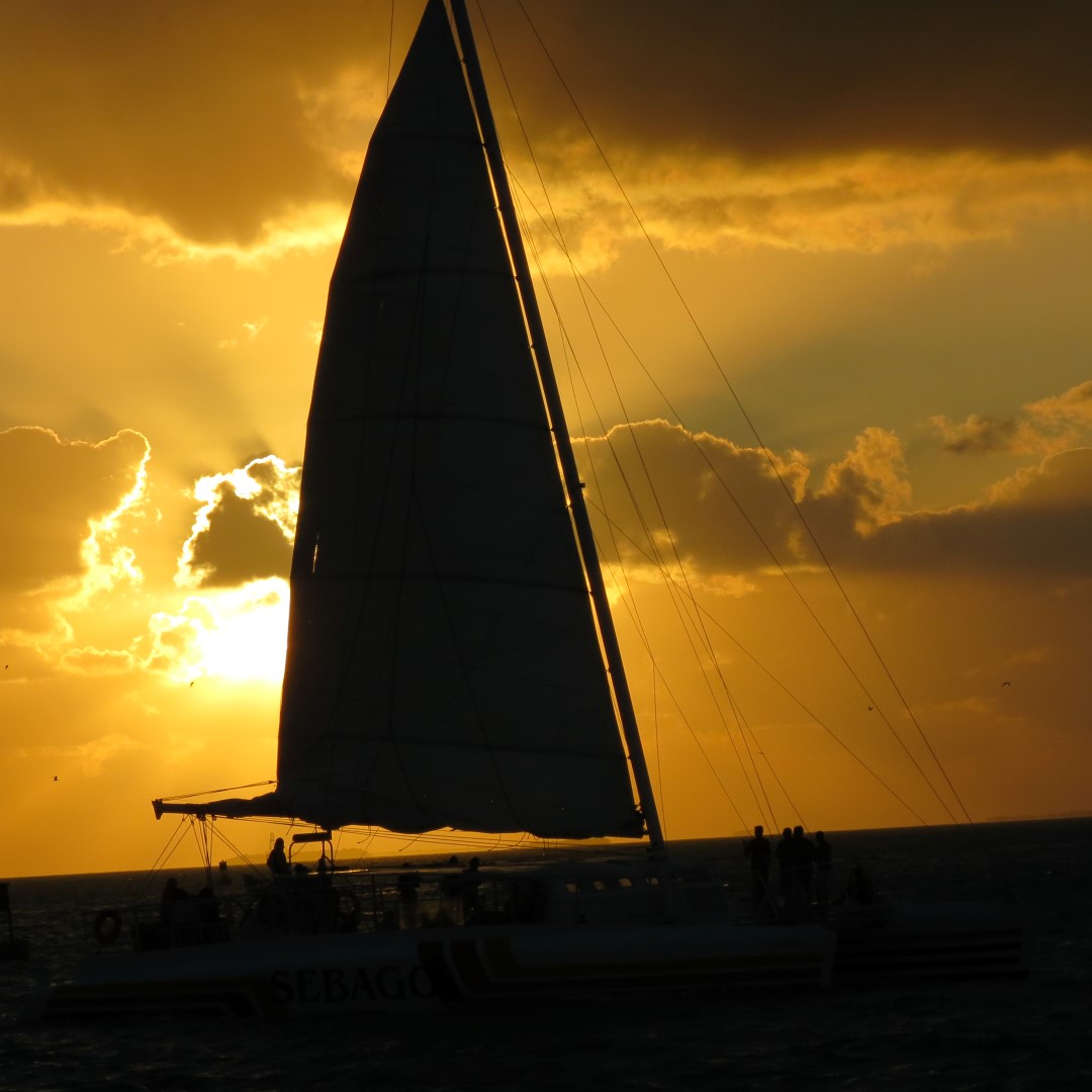 Sunset Party in Key West  85 of 142 (#5403)