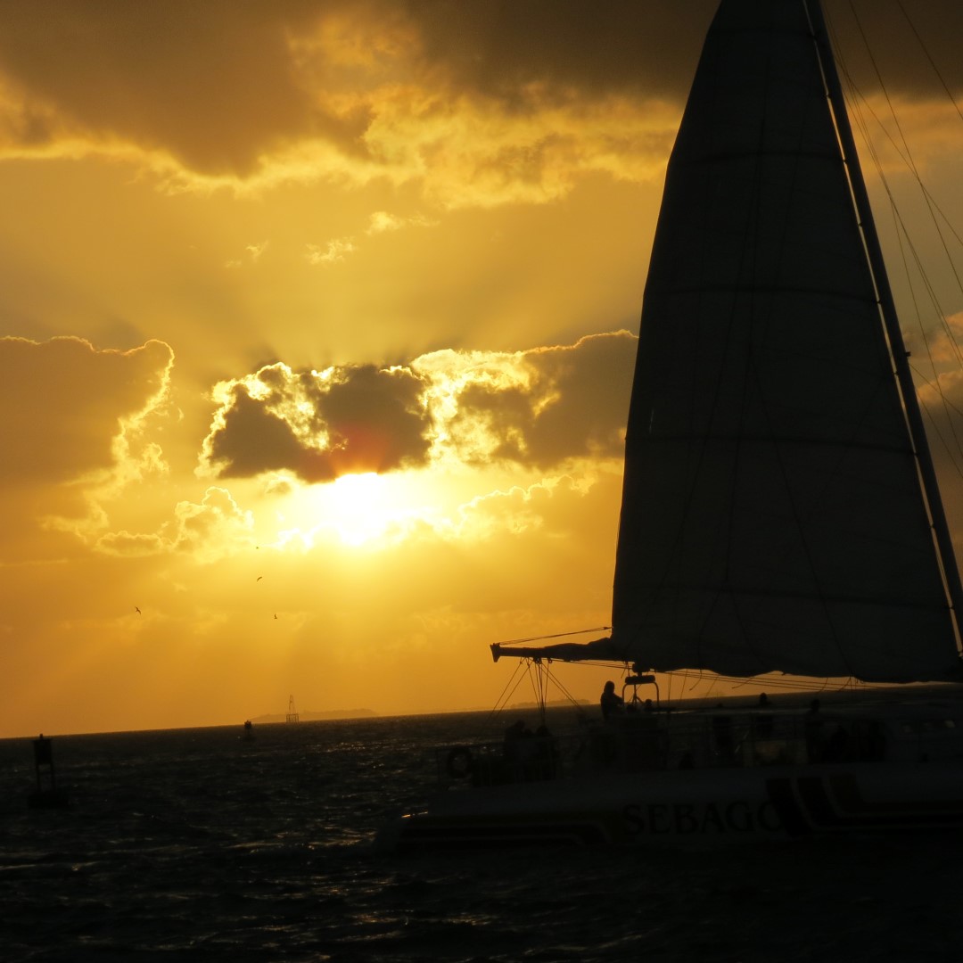 Sunset Party in Key West  86 of 142 (#5404)