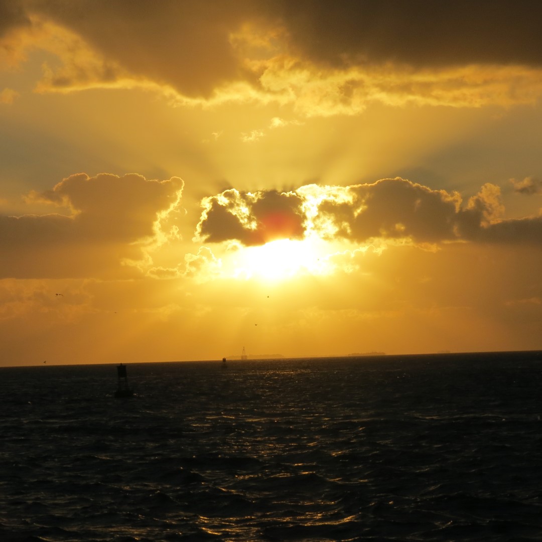 Sunset Party in Key West  87 of 142 (#5405)