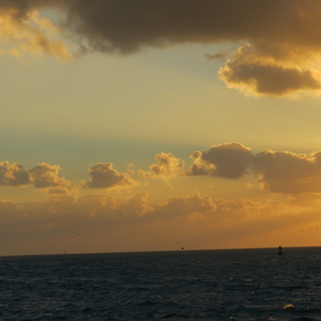 Sunset Party in Key West  88 of 142 (#5406)