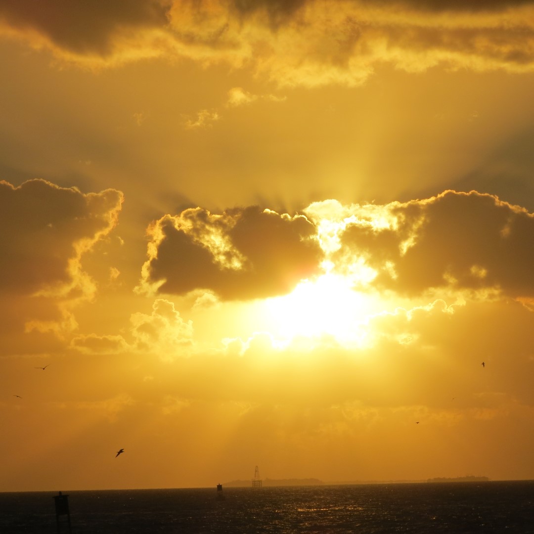 Sunset Party in Key West  89 of 142 (#5407)