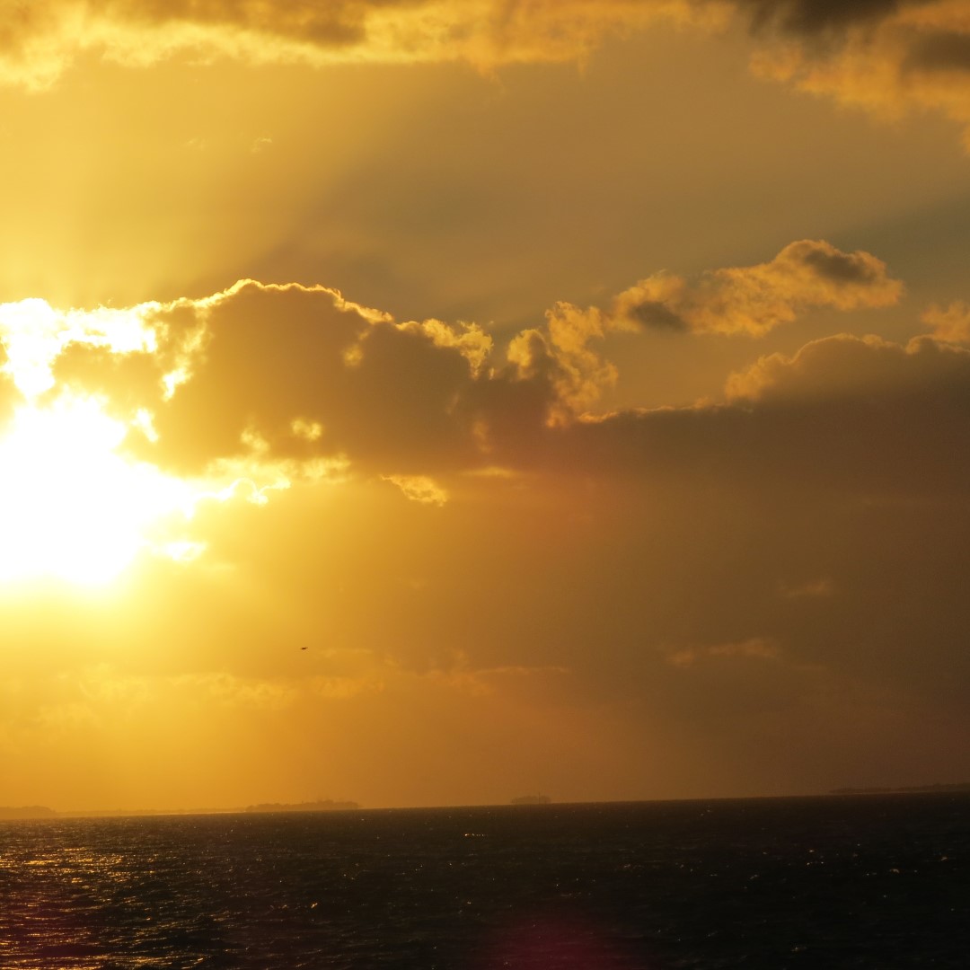 Sunset Party in Key West  90 of 142 (#5408)