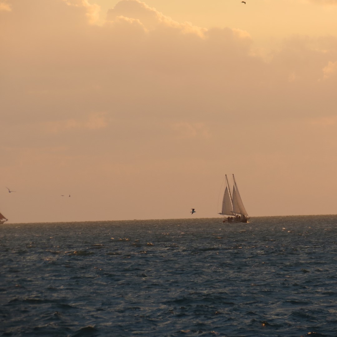 Sunset Party in Key West  92 of 142 (#5410)