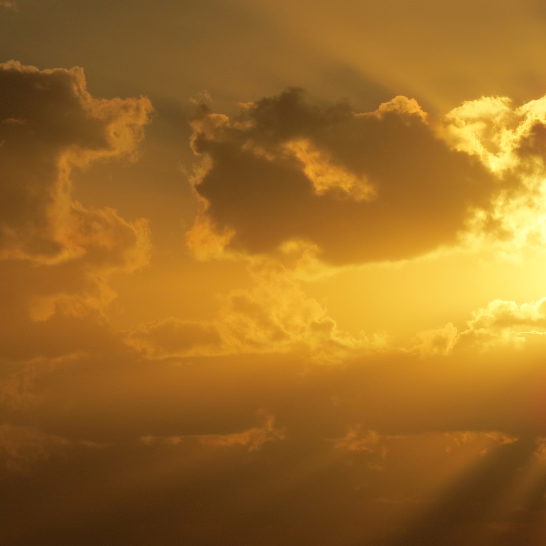 Sunset Party in Key West  93 of 142 (#5411)