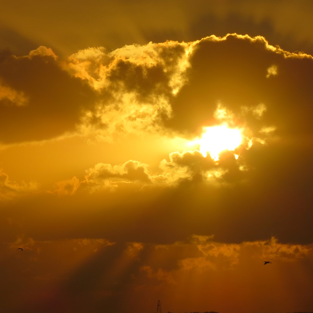 Sunset Party in Key West  94 of 142 (#5412)