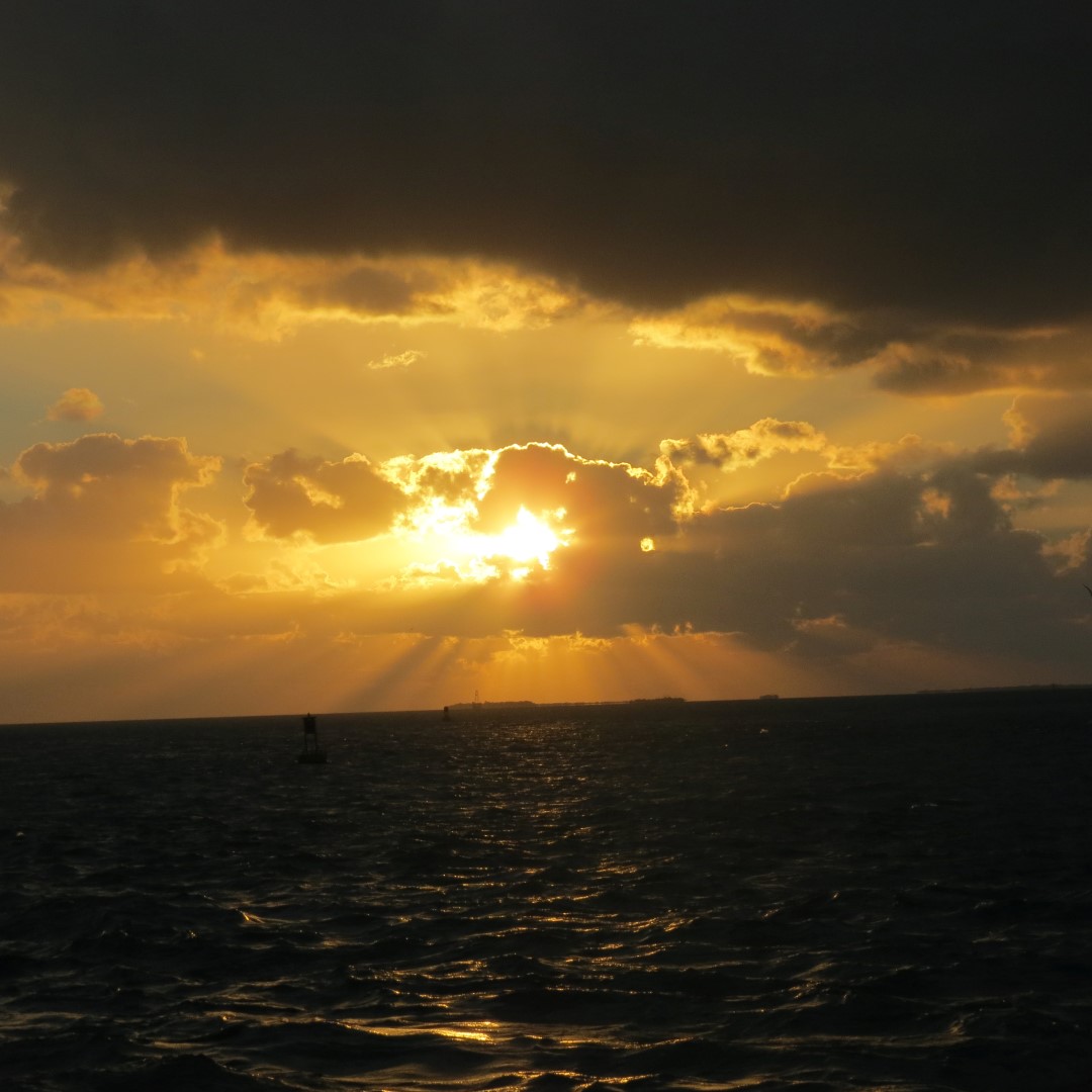 Sunset Party in Key West  95 of 142 (#5413)