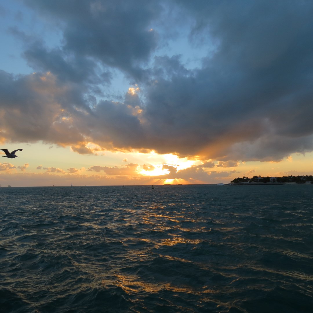 Sunset Party in Key West 102 of 142 (#5420)