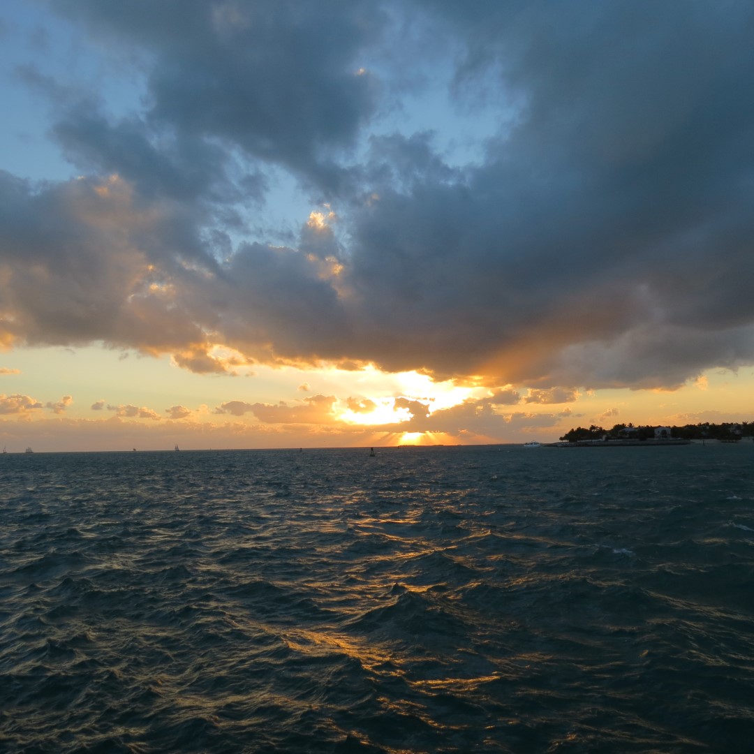 Sunset Party in Key West 103 of 142 (#5421)